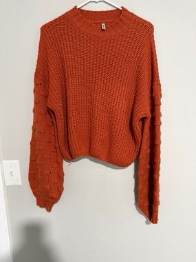 ePretty Chunky Knit Crewneck Sweater in Rust